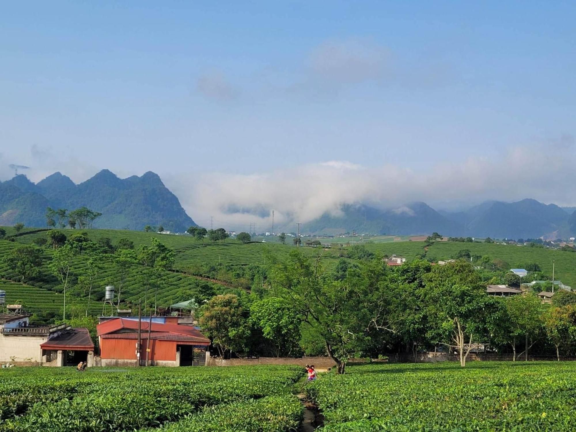 Mum Homestay Moc Chau Exterior foto